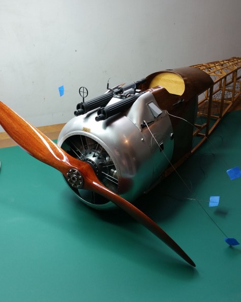 IMG-20151102-WA0004 Cropped